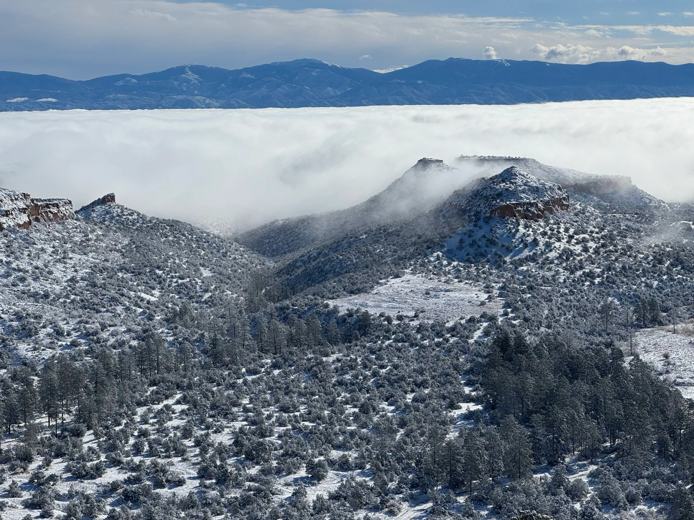 Snow-dusted mesas and pines above a sea of valley fog, with mountains on the horizon.